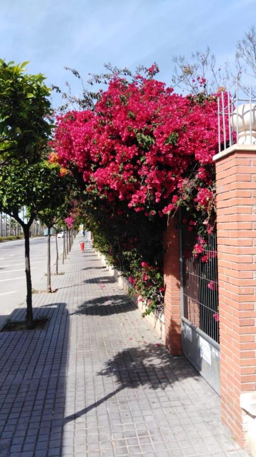 Estudio Comodo En Torrevieja Zewnętrze zdjęcie